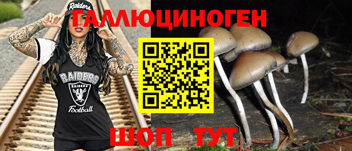 Галлюциногенные грибы мицелий Ликино-Дулёво